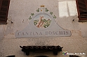 VBS_9574 - La Morra, Barolo, Grinzane Cavour, Pollenzo